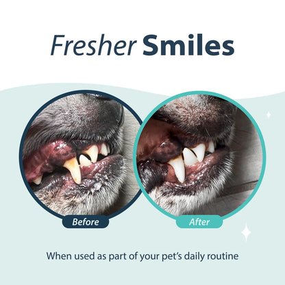 Dental Fresh® Water Additive for Dogs & Cats - Original & Advanced Whitening Formulas