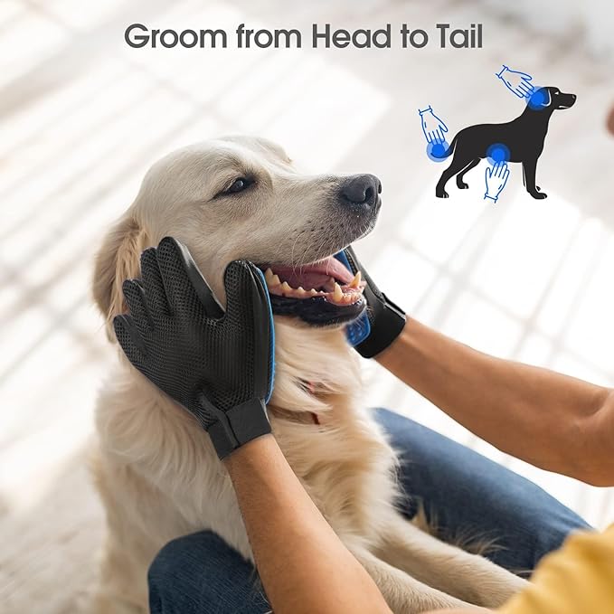 A person uses the Pet Grooming & Deshedding Glove – Gentle Hair Remover for Dogs & Cats with silicone tips to groom a happy golden retriever indoors. "Groom from Head to Tail" appears with an illustrated dog and sunlight streaming through a window.