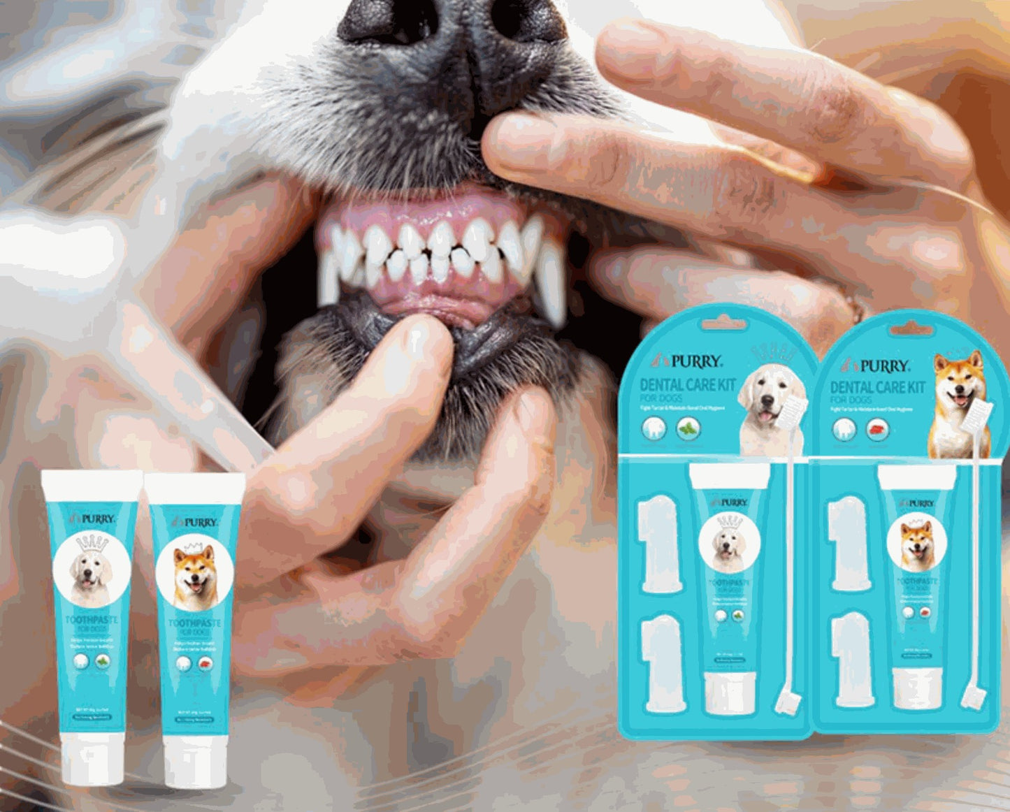 Purry Pet Dental Care For Dogs - Beef or Mint Flavor