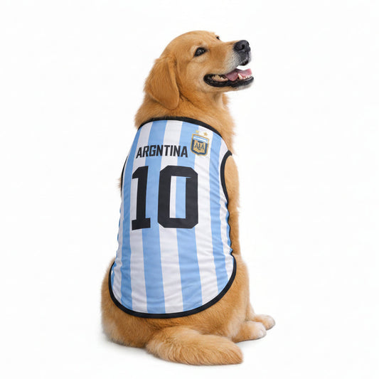 A golden retriever wears the Football World Cup Pet Jersey, styled in blue and white stripes like Argentina’s kit with the number 10, looking sporty while glancing back with its mouth slightly open.