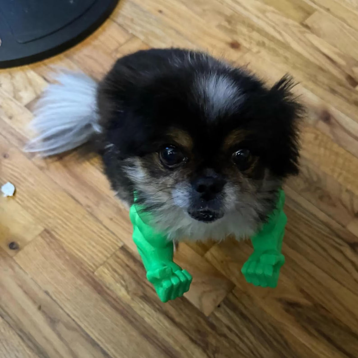 Muscle Arms Pet Costume – Funny 3D Printed Accessory for Cats & Dogs 💪🐶🐱