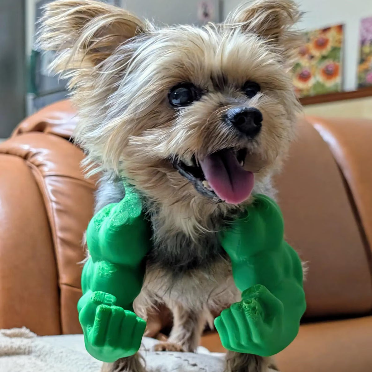 Muscle Arms Pet Costume – Funny 3D Printed Accessory for Cats & Dogs 💪🐶🐱