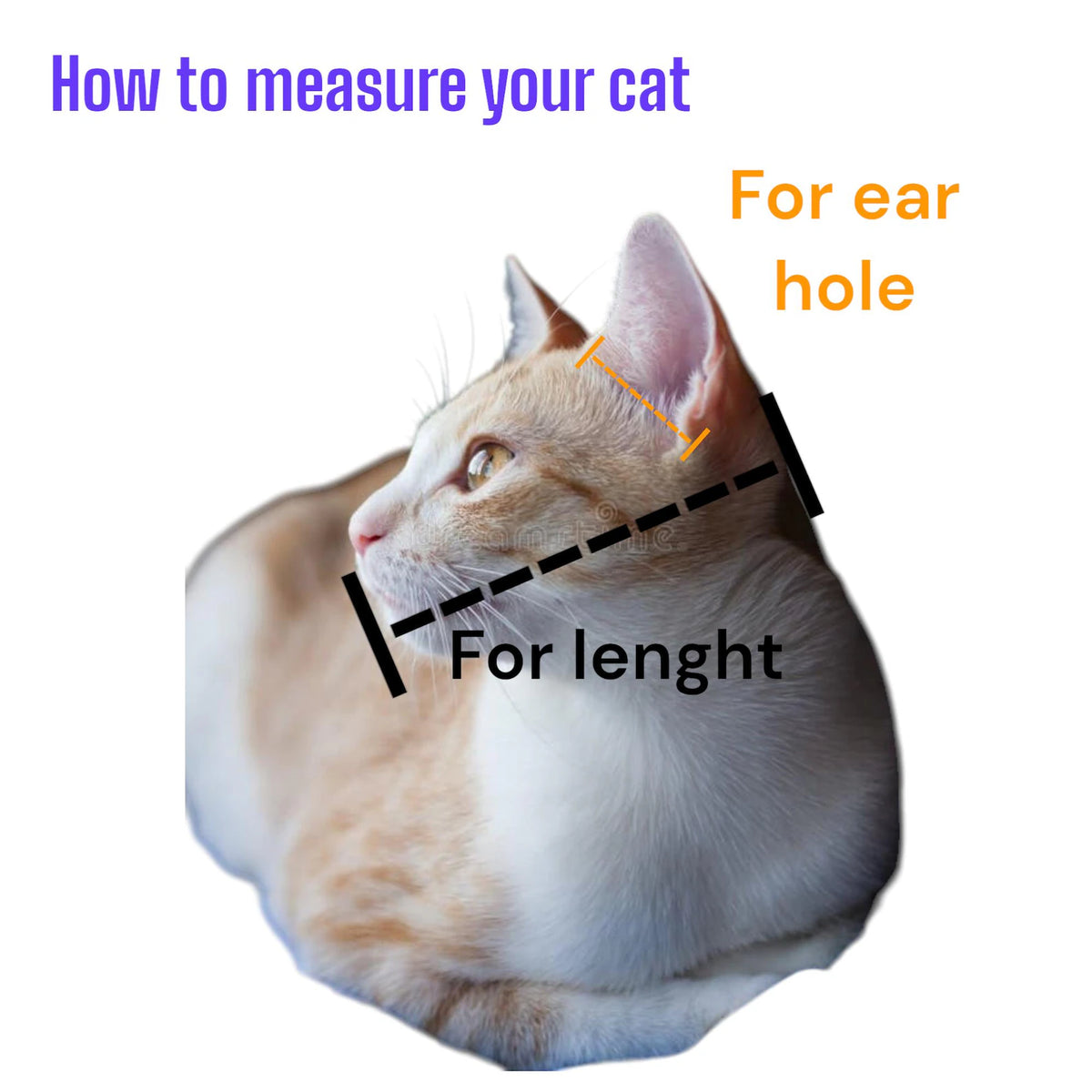 Cat Mask – Cosplay & Costume Accessory for Adults & Kids 🐱🎭