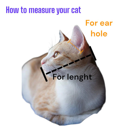Cat Mask – Cosplay & Costume Accessory for Adults & Kids 🐱🎭